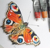 Mariposa