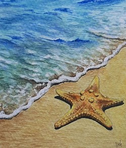 Estrella