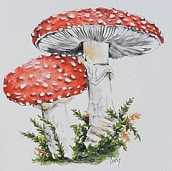 Bolets