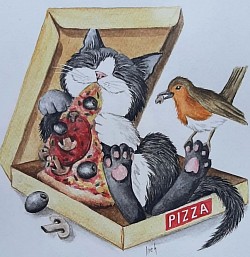 Gato