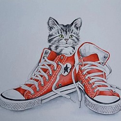 Zapatillas