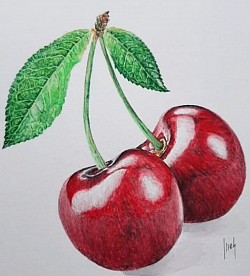 Fruta