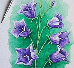 Flor