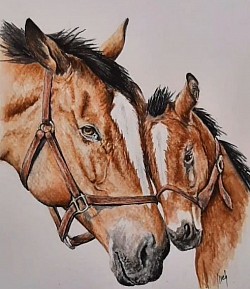 Caballos