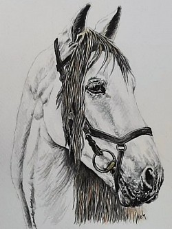 Caballo