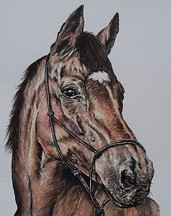 Caballo