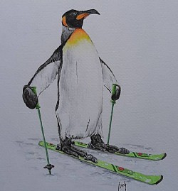 Pingüino