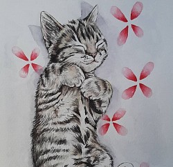Gato